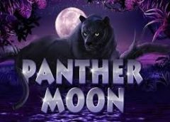 Panther Moon Mega888 Pengalaman Mengembara di Malam Hari