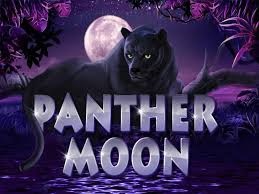 panther moon mega888